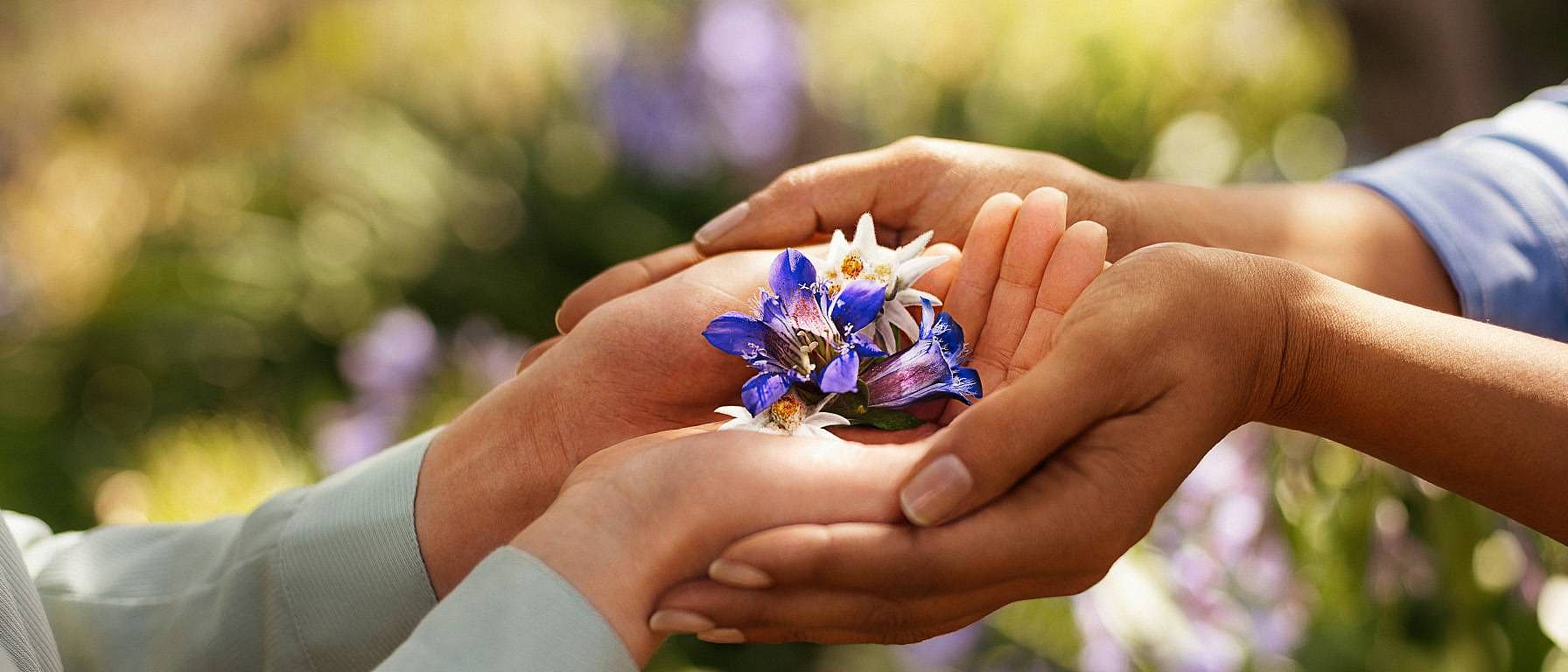four hands holding flowers