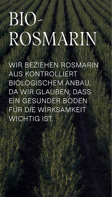 Rosmarin Feld. Bio-Rosmarin. Wir beziehen Rosmarin aus kontrolliert biologischen Anbau, da wir glauben, dass ein gesunder Boden für die Wirksamkeit wichtig ist.