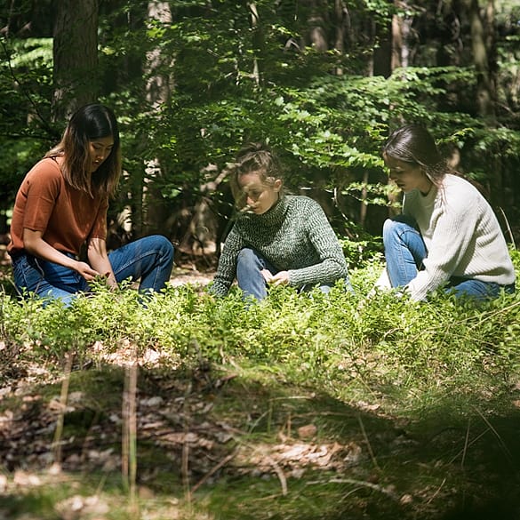three women with plants
