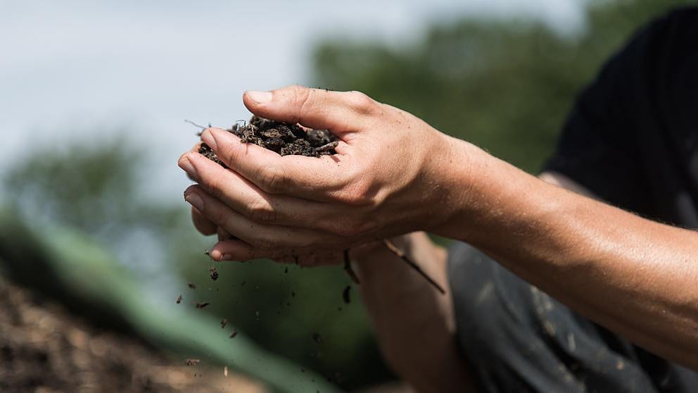 holding soil in hand